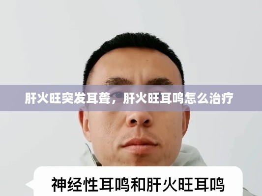 肝火旺突發(fā)耳聾，肝火旺耳鳴怎么治療 