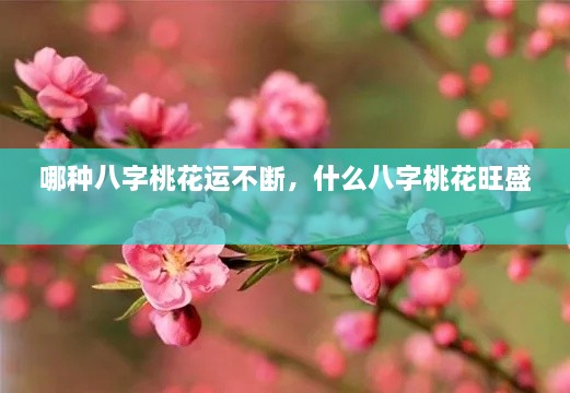 哪種八字桃花運不斷，什么八字桃花旺盛 