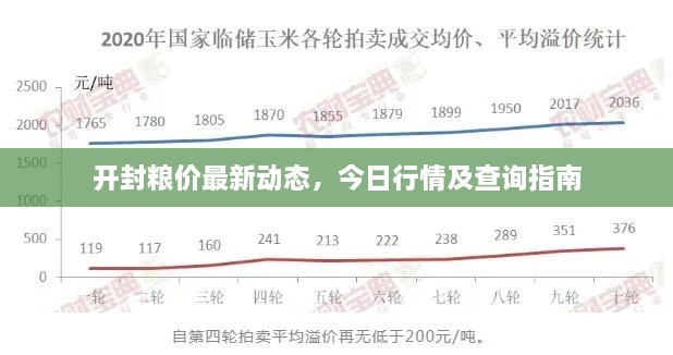 開封糧價(jià)最新動(dòng)態(tài)，今日行情及查詢指南