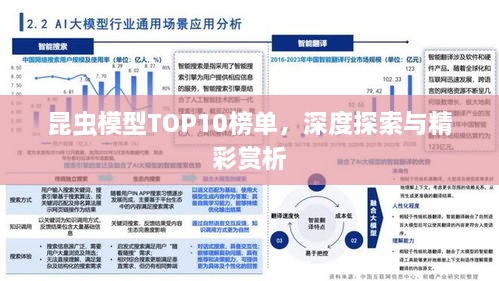 昆蟲(chóng)模型TOP10榜單，深度探索與精彩賞析