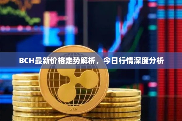 BCH最新價(jià)格走勢(shì)解析，今日行情深度分析