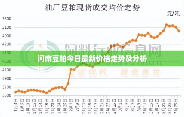 2025年1月19日