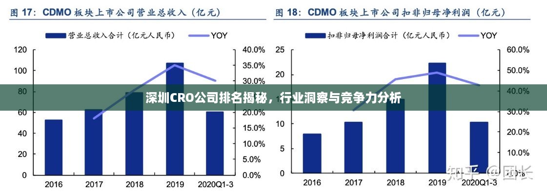 深圳CRO公司排名揭秘，行業(yè)洞察與競爭力分析