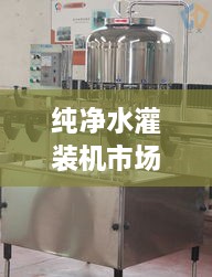 純凈水灌裝機(jī)市場(chǎng)走勢(shì)解析，最新行情深度探討