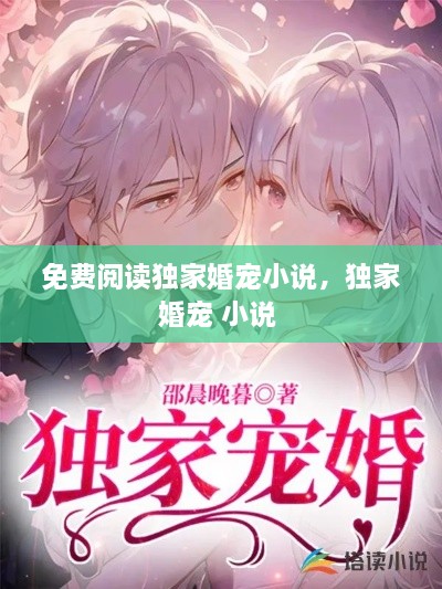 免費閱讀獨家婚寵小說，獨家婚寵 小說 