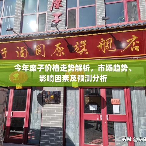 今年糜子價(jià)格走勢解析，市場趨勢、影響因素及預(yù)測分析