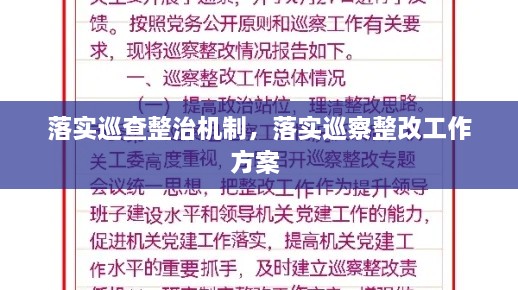 落實巡查整治機制，落實巡察整改工作方案 