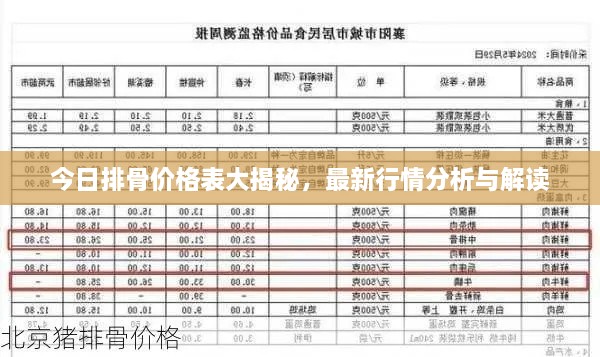 今日排骨價(jià)格表大揭秘，最新行情分析與解讀