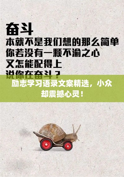 勵志學習語錄文案精選，小眾卻震撼心靈！