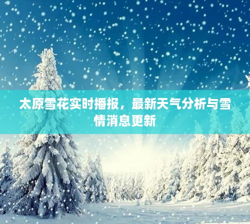 太原雪花實時播報，最新天氣分析與雪情消息更新