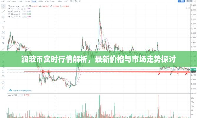 潤波幣實(shí)時行情解析，最新價(jià)格與市場走勢探討