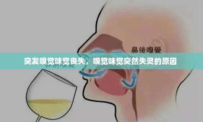 突發(fā)嗅覺味覺喪失，嗅覺味覺突然失靈的原因 