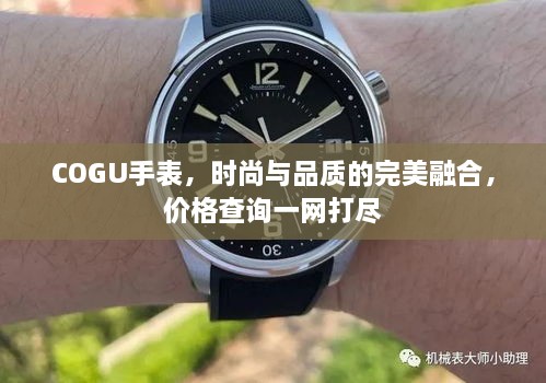 COGU手表，時(shí)尚與品質(zhì)的完美融合，價(jià)格查詢一網(wǎng)打盡