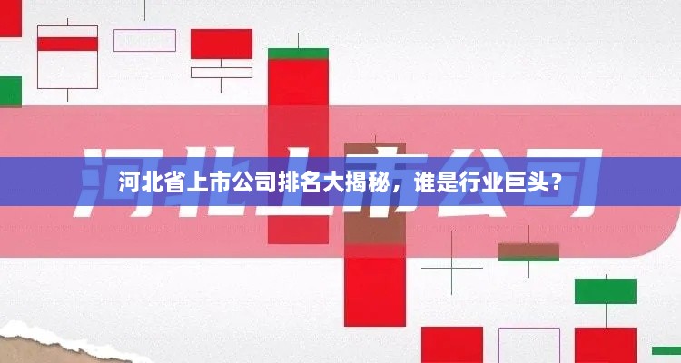 河北省上市公司排名大揭秘，誰是行業(yè)巨頭？