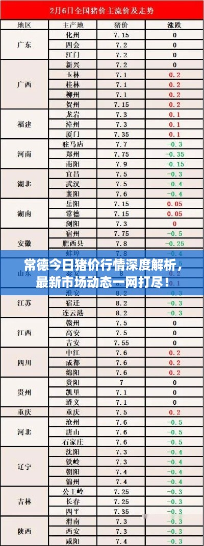 常德今日豬價行情深度解析，最新市場動態(tài)一網(wǎng)打盡！