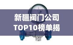 新疆閥門公司TOP10榜單揭曉，行業(yè)領(lǐng)軍者一覽無余