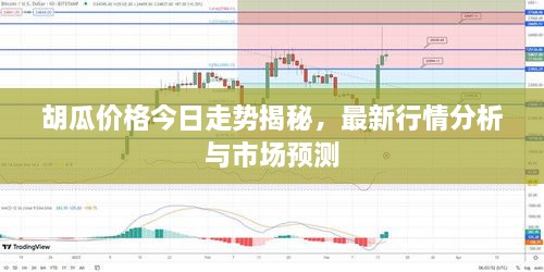 胡瓜價格今日走勢揭秘，最新行情分析與市場預(yù)測