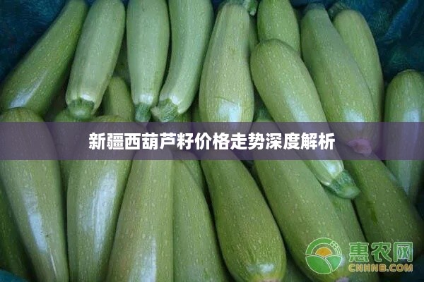 新疆西葫蘆籽價(jià)格走勢(shì)深度解析