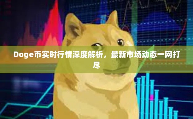 Doge幣實時行情深度解析，最新市場動態(tài)一網(wǎng)打盡