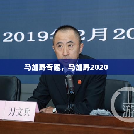 馬加爵專(zhuān)題，馬加爵2020 