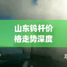 山東鎢桿價格走勢深度解析