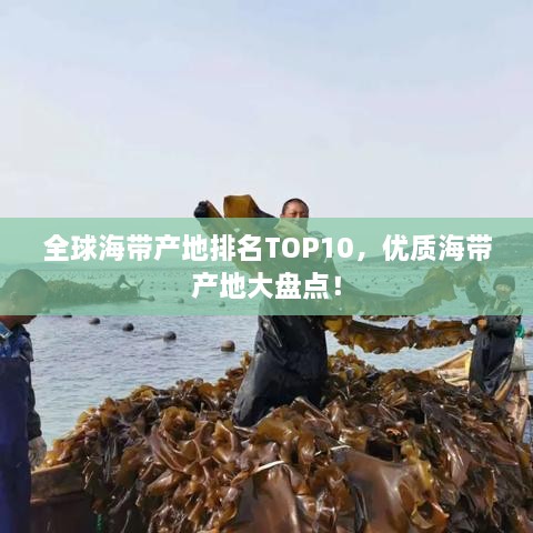 全球海帶產(chǎn)地排名TOP10，優(yōu)質(zhì)海帶產(chǎn)地大盤點(diǎn)！