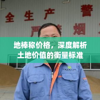 地棒稱價格，深度解析土地價值的衡量標準