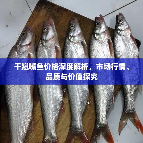 干翹嘴魚價(jià)格深度解析，市場(chǎng)行情、品質(zhì)與價(jià)值探究