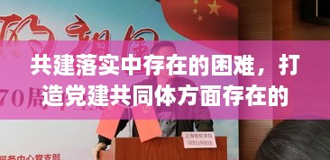 共建落實中存在的困難，打造黨建共同體方面存在的問題 