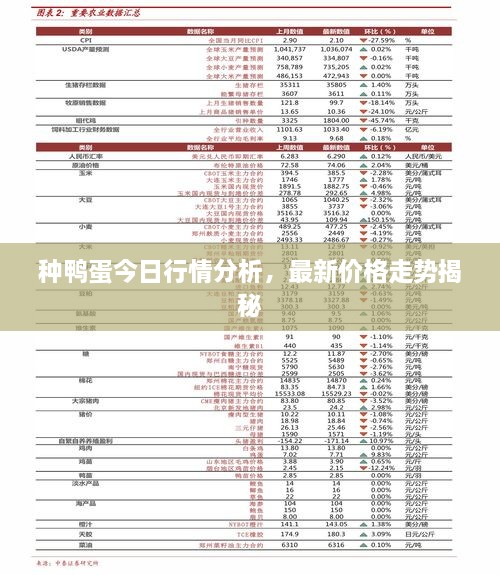 種鴨蛋今日行情分析，最新價(jià)格走勢(shì)揭秘