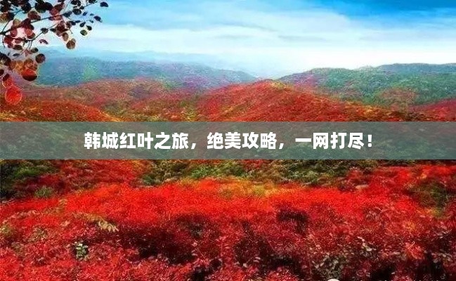 韓城紅葉之旅，絕美攻略，一網打盡！