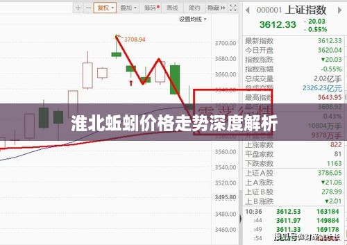 淮北蚯蚓價(jià)格走勢深度解析