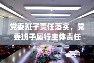 黨委班子責任落實，黨委班子履行主體責任的建議 