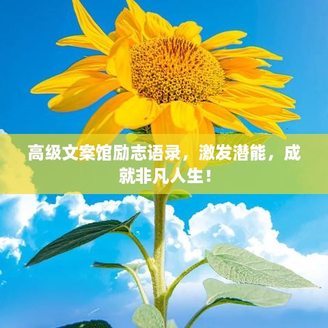 高級文案館勵志語錄，激發(fā)潛能，成就非凡人生！