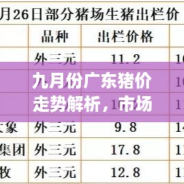 九月份廣東豬價走勢解析，市場行情、價格變動一網(wǎng)打盡