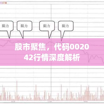 股市聚焦，代碼002042行情深度解析