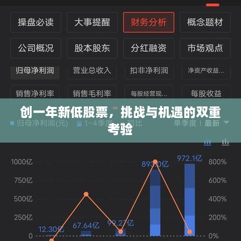 創(chuàng)一年新低股票，挑戰(zhàn)與機遇的雙重考驗