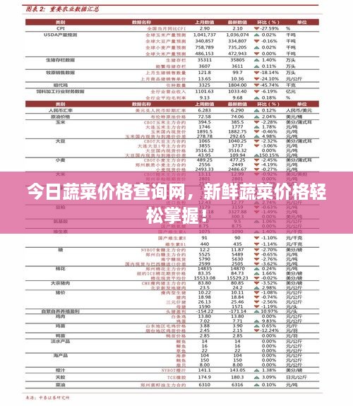 今日蔬菜價(jià)格查詢網(wǎng)，新鮮蔬菜價(jià)格輕松掌握！