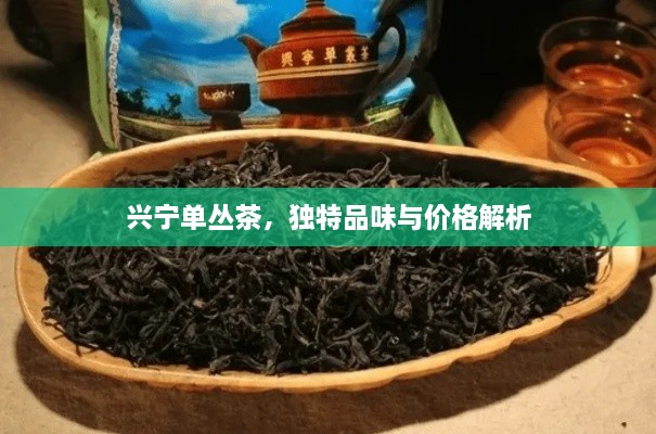 興寧單叢茶，獨(dú)特品味與價格解析