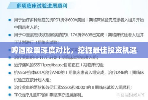 啤酒股票深度對(duì)比，挖掘最佳投資機(jī)遇