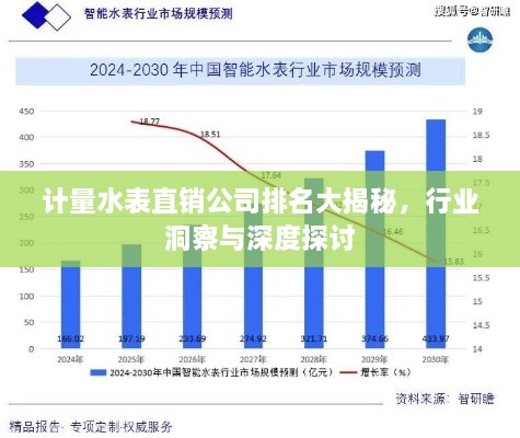 計(jì)量水表直銷公司排名大揭秘，行業(yè)洞察與深度探討