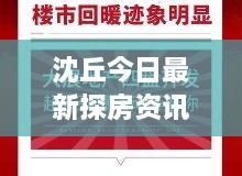 沈丘今日最新探房資訊速遞