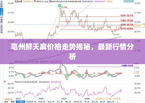 亳州鮮天麻價格走勢揭秘，最新行情分析