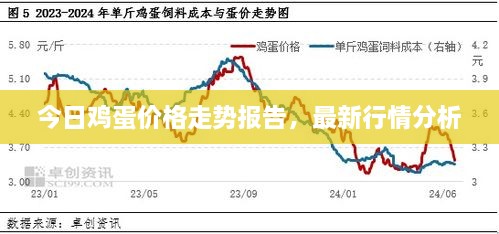 今日雞蛋價(jià)格走勢報(bào)告，最新行情分析