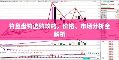 釣魚盤鉤選購攻略，價格、市場分析全解析