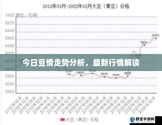 今日豆情走勢分析，最新行情解讀