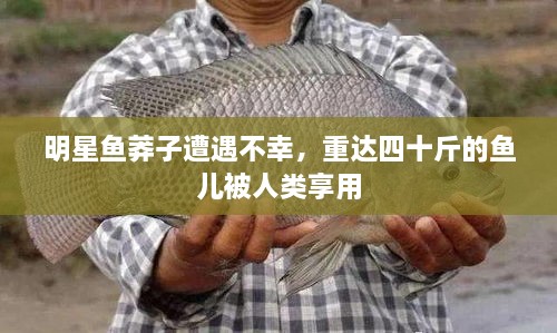 明星魚莽子遭遇不幸，重達(dá)四十斤的魚兒被人類享用