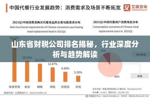 山東省財(cái)稅公司排名揭秘，行業(yè)深度分析與趨勢(shì)解讀