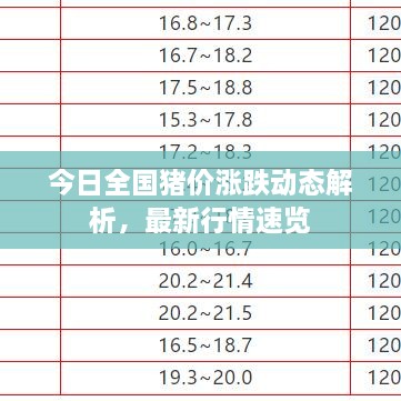 今日全國(guó)豬價(jià)漲跌動(dòng)態(tài)解析，最新行情速覽