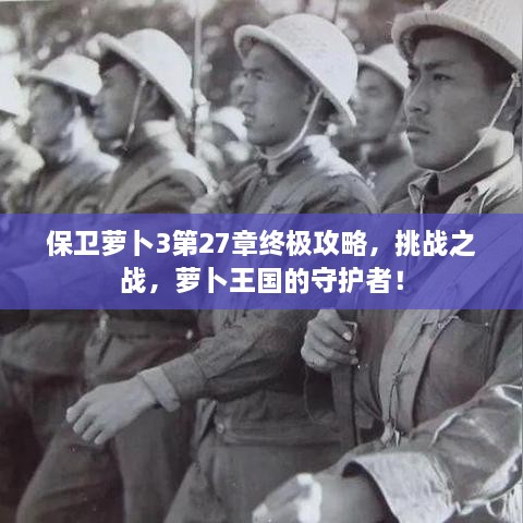 保衛(wèi)蘿卜3第27章終極攻略，挑戰(zhàn)之戰(zhàn)，蘿卜王國的守護者！